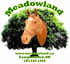 Meadowland Farm - Horse Boarding and Warmblood Breeding in Campbellford ...